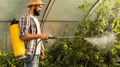 intersection-of-sustainability,-pets,-and-smart-tech:-eco-friendly-pest-control