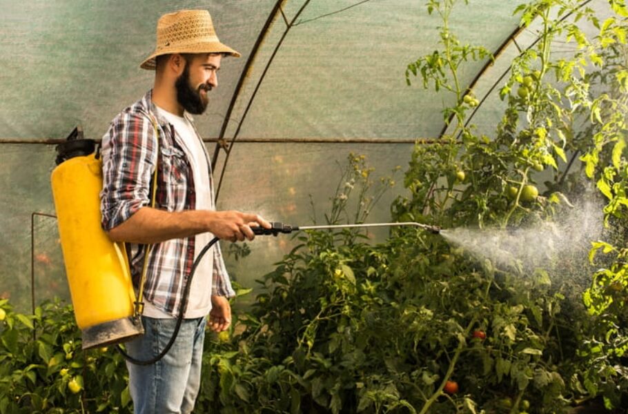 intersection-of-sustainability,-pets,-and-smart-tech:-eco-friendly-pest-control