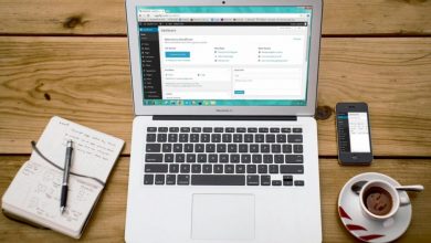 how-a-wordpress-development-company-can-transform-your-business-website