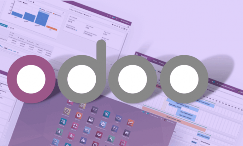 why-is-odoo-erp-customization-essential-for-your-business?